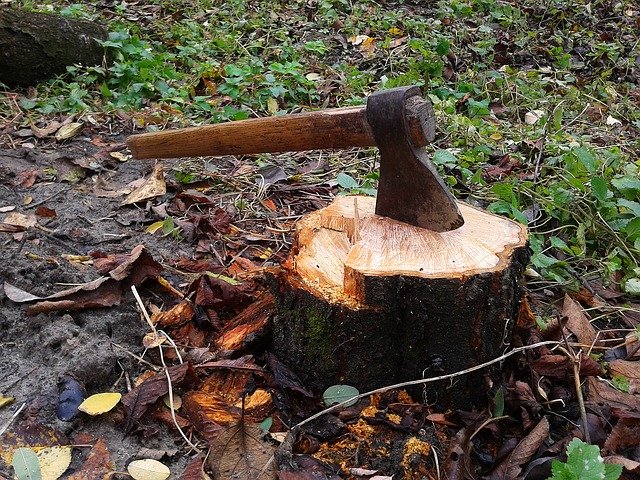 stump